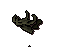 Hydra bones.png