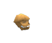Skull Pet.png