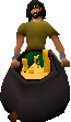 Money Bags.png