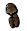 Globetrotter Shorts.png