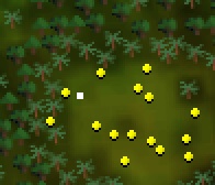 Hunter Store Location.jpg