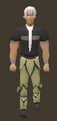 Legendary Platelegs.png