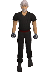 Artic Guardian Gloves Equipped.png