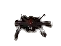 Venenatis Egg Pet.png