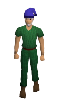 Inverted Santa Hat (Z) Equipped.png