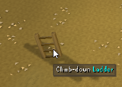 The ladder to Redemption's Dungeon.