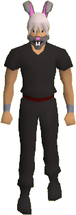 Bunny Mask Equipped.png