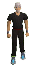 Artic Guardian Boots Equipped.png