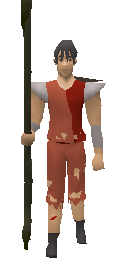 Ahrim’s Staff Equiped.png