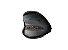 Shark Pet.png
