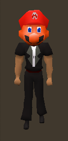 Mario's Head Equipped.png