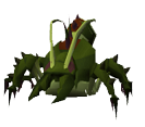 Kalphite 1.png