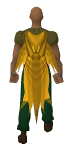 Gilded Shroud Equipped.png