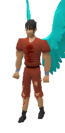 Diamond Cape Equiped.png