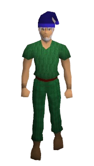 Santa Hat (Z) Equipped.png