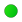 Novice-circle.png