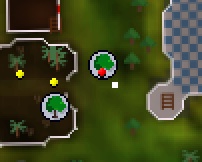 Easter Shiny Wood Location.jpg