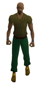 Gilded Greaves Equipped.png