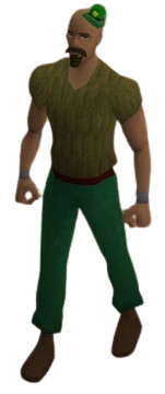 Leprechaun's Hat Equipped.png