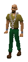 SilverChainEquipped.png