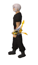 Avian Ward Equipped.png