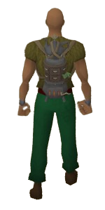 Bistromancer's Urn Equipped.png