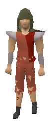 Ahrim’s Hood Equiped.png