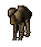 Camel pet.png