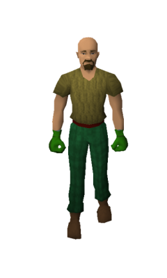 Cerberus Gloves (Range) Equipped.png