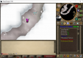 20.PNG
