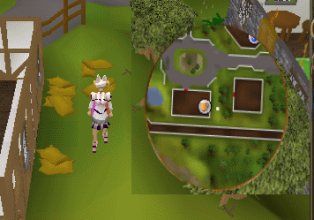 Yanille sacks.png