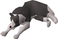 Karma Dog.png
