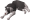 Karma Dog.png