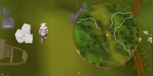 Great Tree crate 2.png