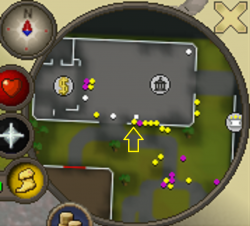 Aracade shop map new.png