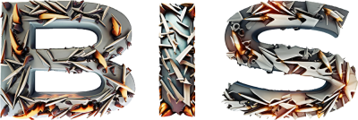 BIS Title.png