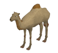 Camel Egg (pet).png
