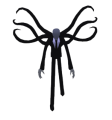 Thumbnail for version as of 13:36, 22 October 2025