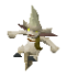 Young impling.png