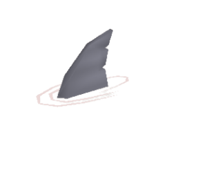 Shark (pet).png