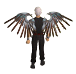 Avian Wings Equipped.png