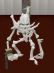 Icy Skeleton Boss.jpg