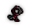 Avery's Ring.png