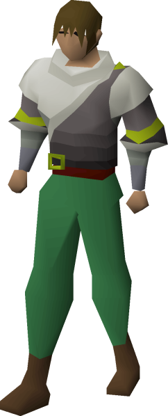 File:Twisted ancestral robe top equipped.png