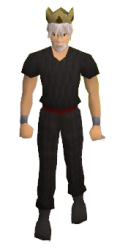 Shadow Gem Crown Equipped.png