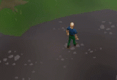 Revenat Dragon.gif
