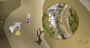 Deadbody white wolf.png