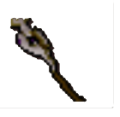 Thumbnail for version as of 08:19, 12 October 2022