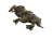 Demonic Guardian.png