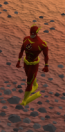 Flash.png
